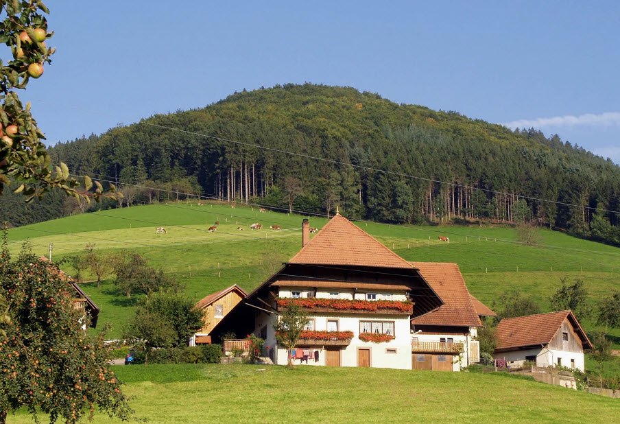 Black Forest (Schwarzwald), Germany